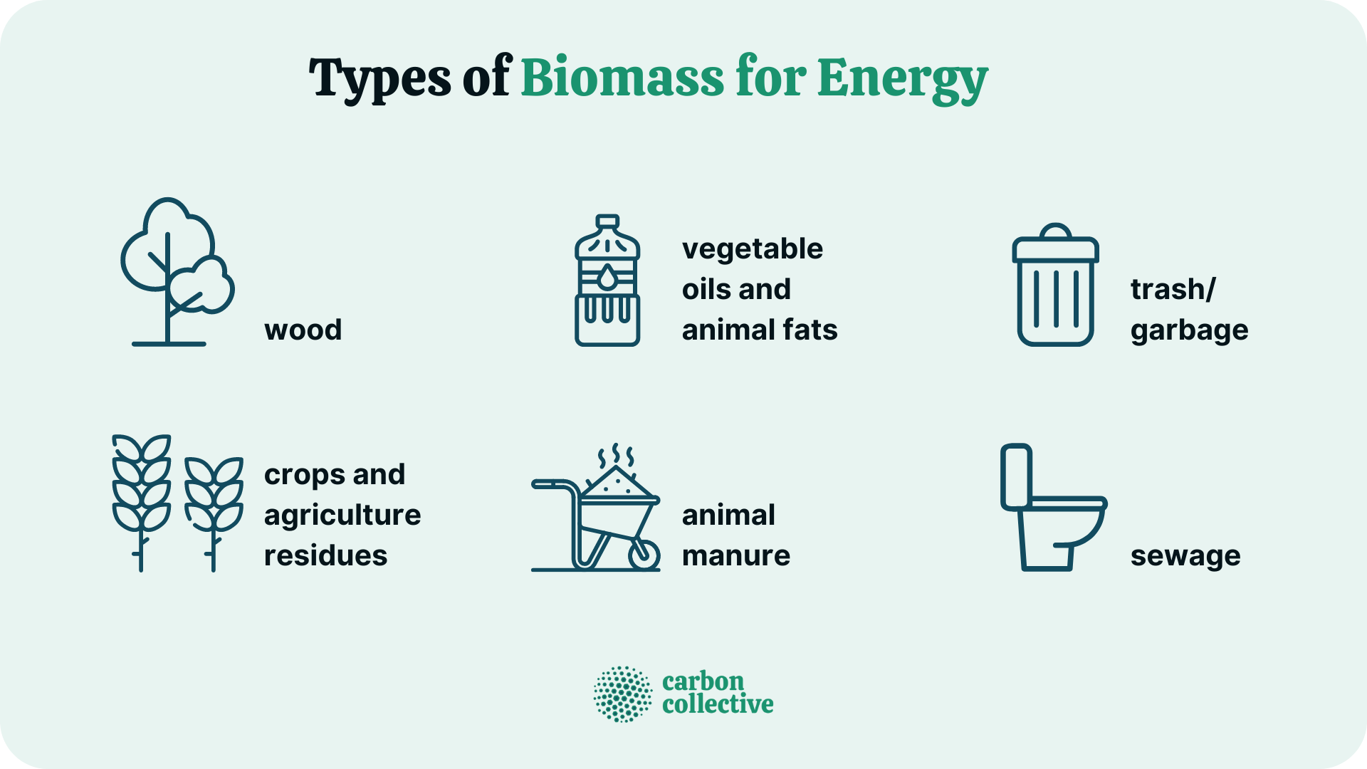 What Is Biomass? | The Challenges Of Harnessing Its Energy Potential