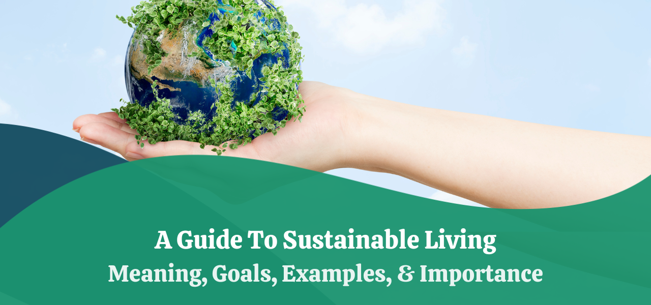 sustainable ways of living essay
