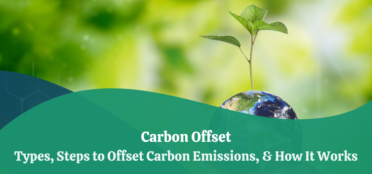 Carbon Offset | Types, Steps to Offset Carbon Emissions, & How It Works