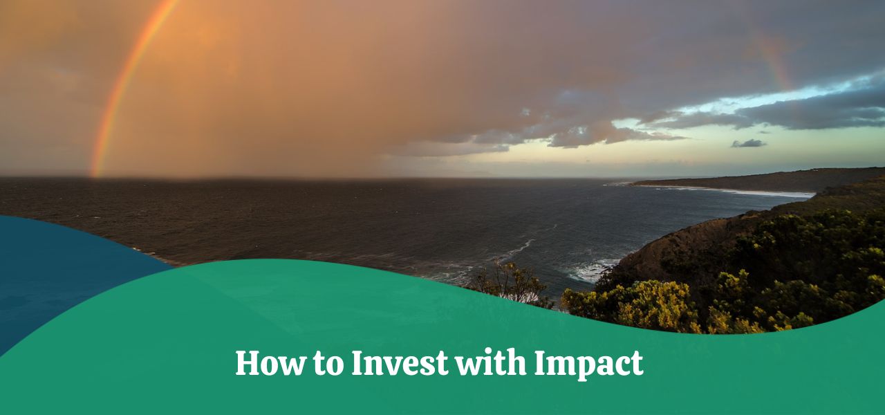 How to Invest With Impact | Definition, Purpose & Risk