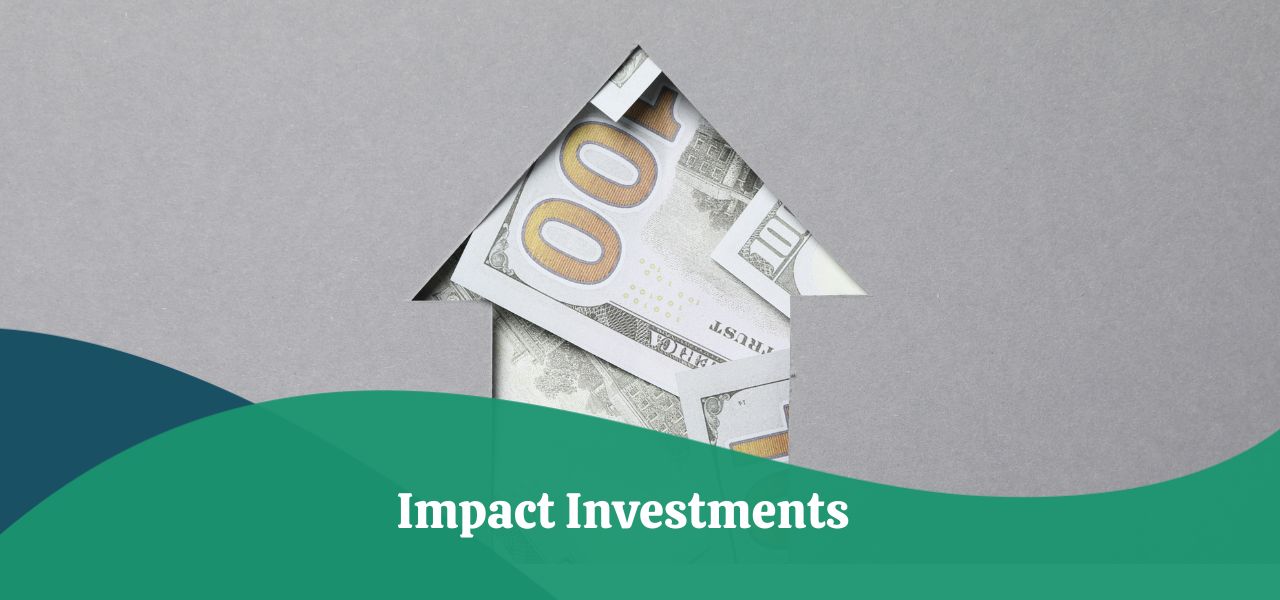 Impact Investments | Definition, Importance, Risks & Trends