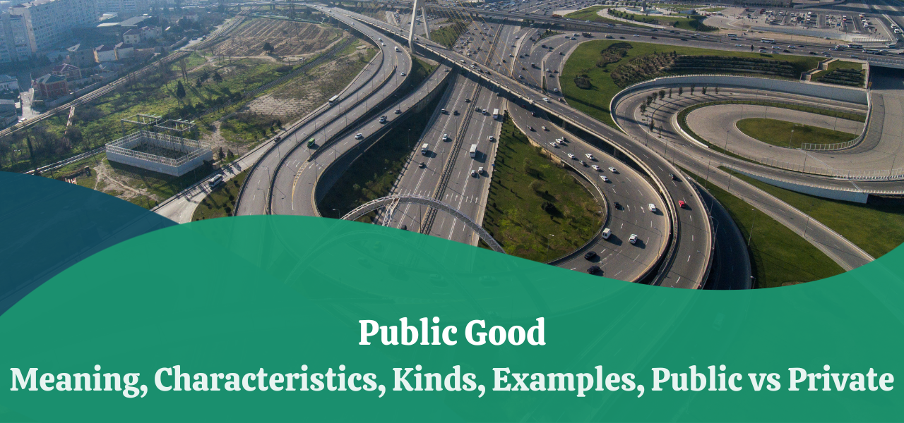 What Are Public Goods? Definition and Meaning