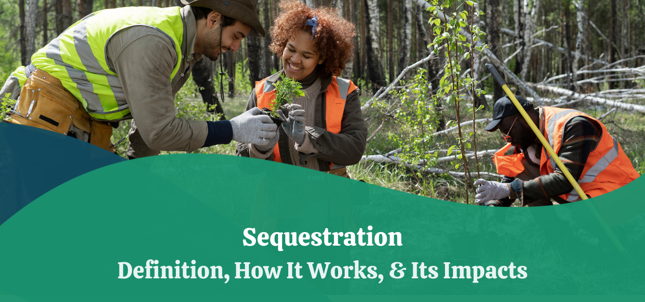 sequestration-definition-how-it-works-its-impacts