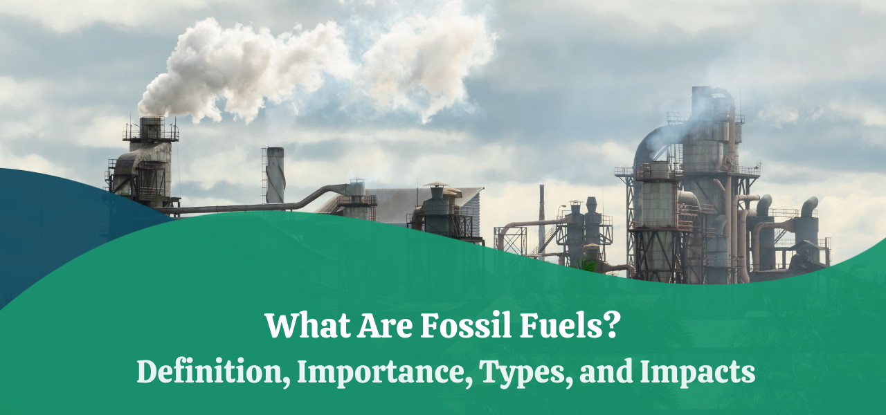 What Are Fossil Fuels Definition Importance Types Impacts