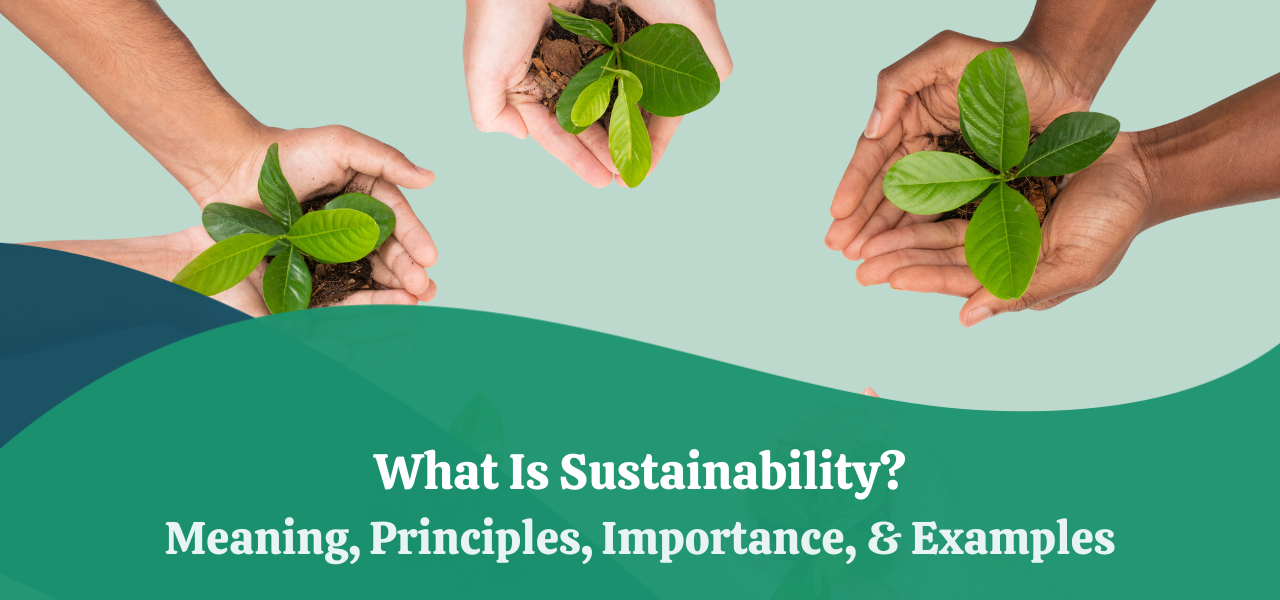 What Is Sustainability Meaning Principles Importance Examples